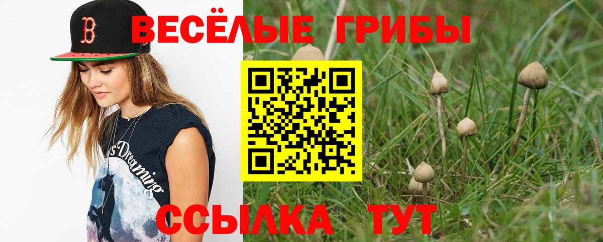 Псилоцибиновые грибы мухоморы  Вход с VPN  Северобайкальск 