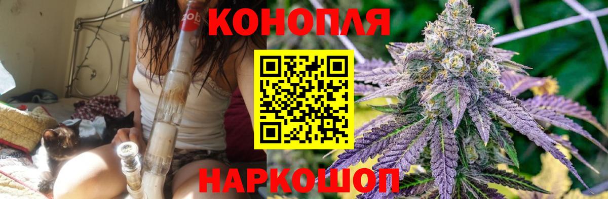 Шишки марихуана MAZAR  Марихуана планчик  Вход с VPN  Марихуана семена  Шишки марихуана ГИДРОПОН  Северобайкальск 